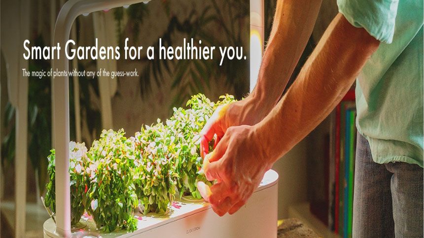 Click and Grow - 4% cashback