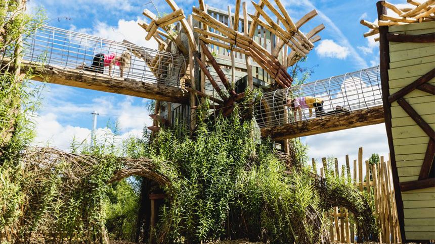 App Exclusive - 20% Teachers discount on tickets