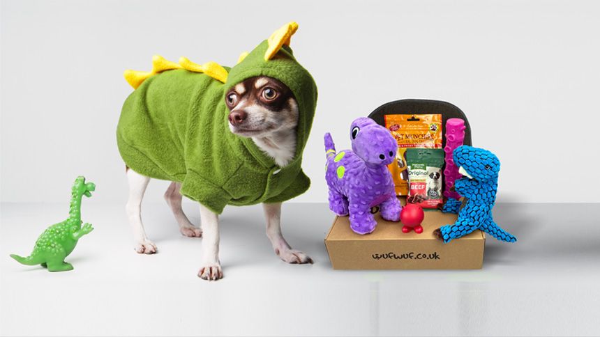 Monthly Joy Box for Your Dog - Save 25% on your first box