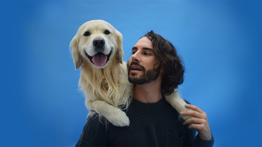 Waggel Pet Insurance - 1st month free
