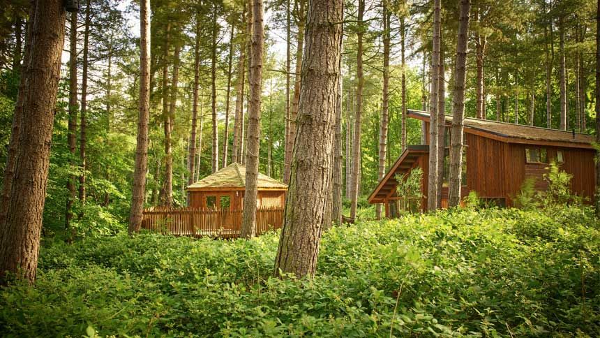 UK Forest Holiday Lodge Breaks - Up to £60 off for Teachers