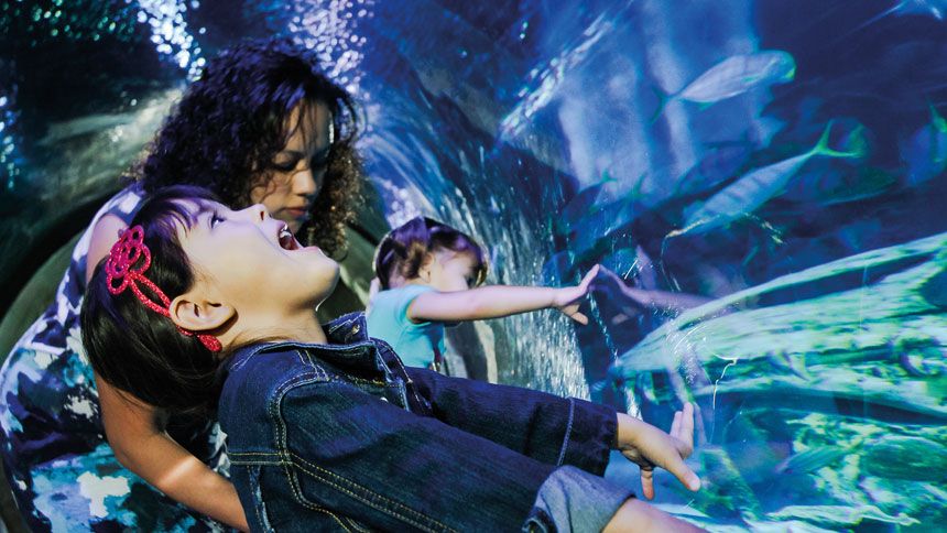 SEA LIFE London - Huge savings for Teachers