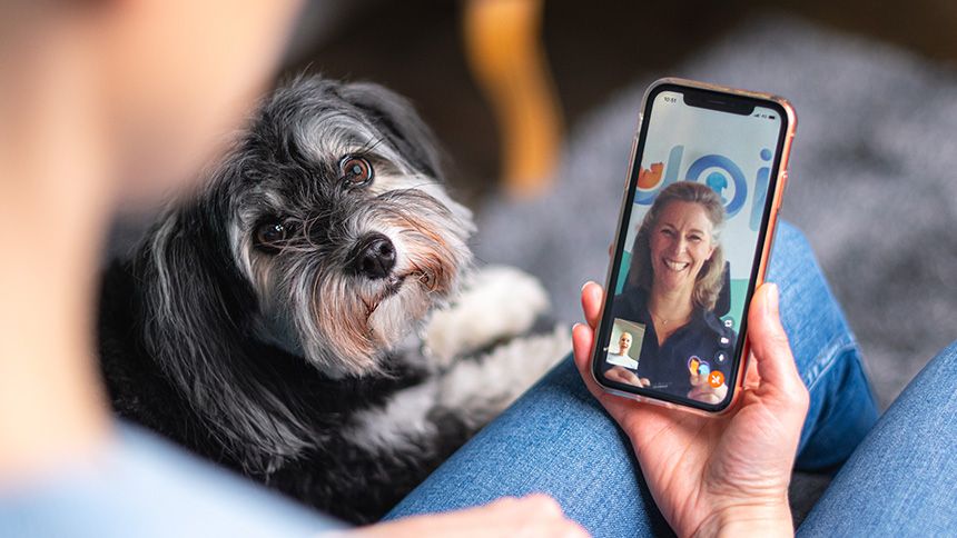 Joii Online Vet & Pet Care - 15% Teachers discount