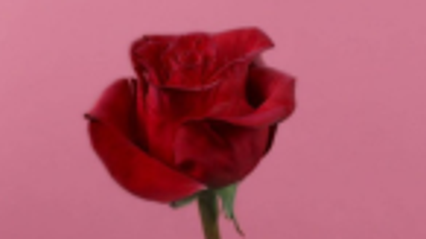 Lovehoney - 3% cashback